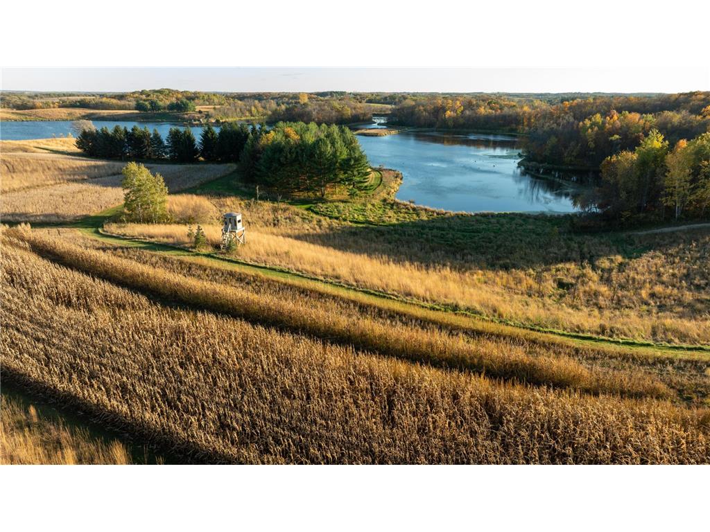 4026 Union Lake Trail Forest Twp MN 55057 6811339 image101