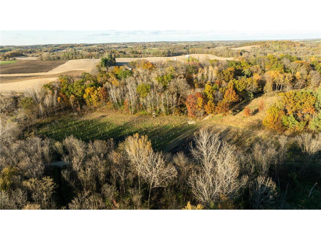 4026 Union Lake Trail Forest Twp MN 55057 6811339 image111