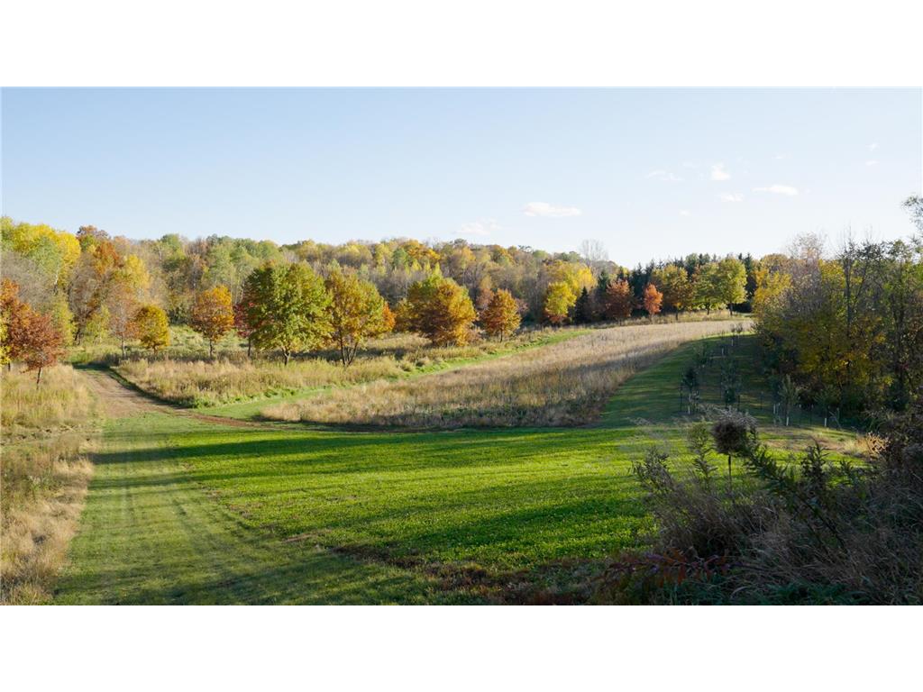 4026 Union Lake Trail Forest Twp MN 55057 6811339 image119