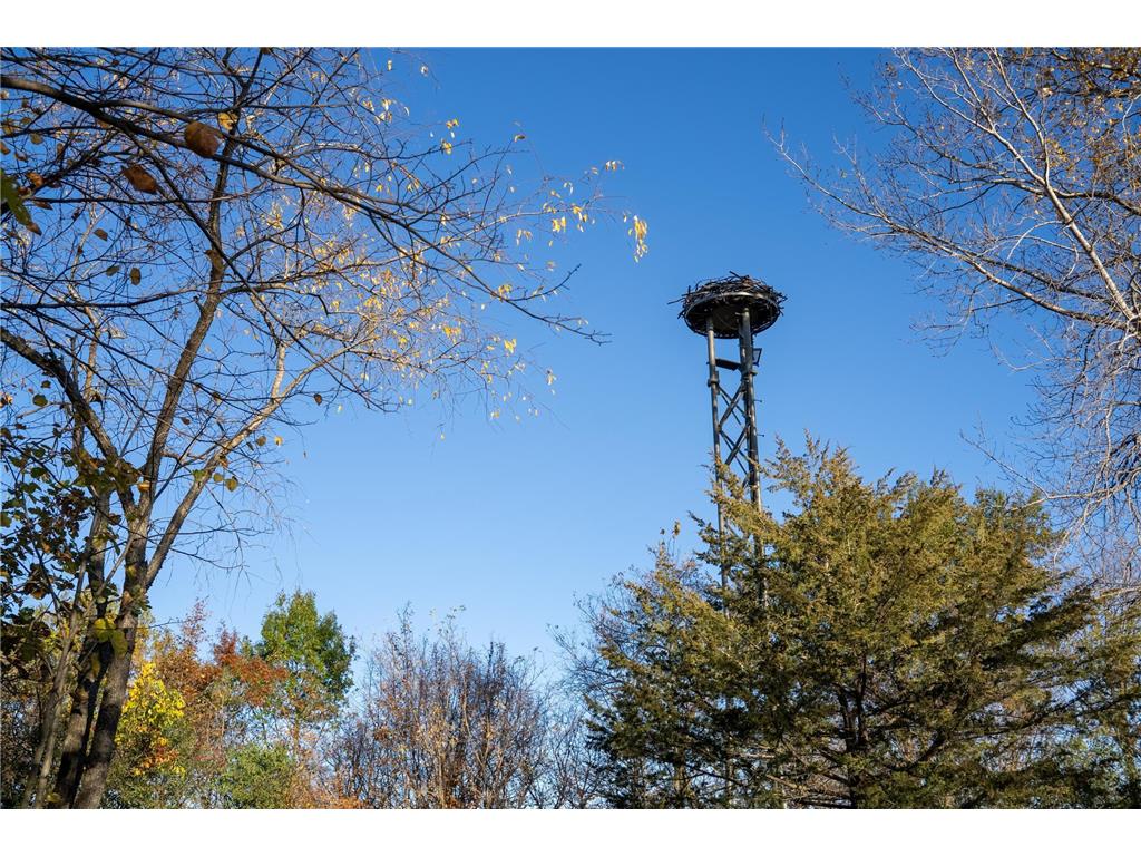 4026 Union Lake Trail Forest Twp MN 55057 6811339 image79