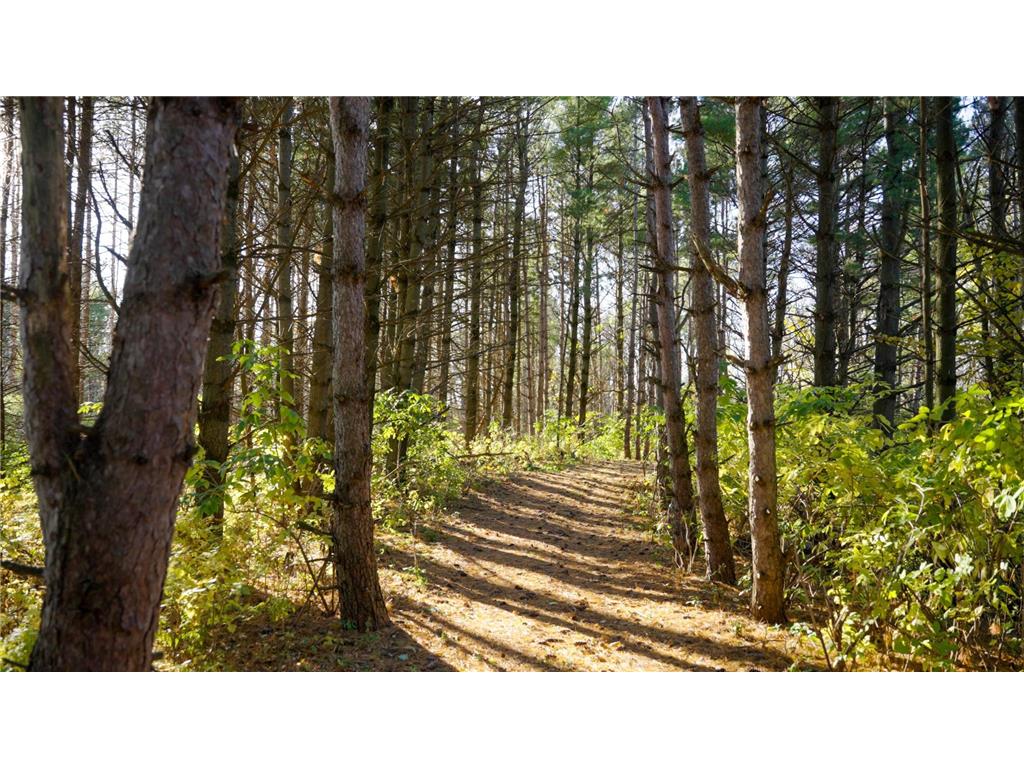 4026 Union Lake Trail Forest Twp MN 55057 6811339 image82