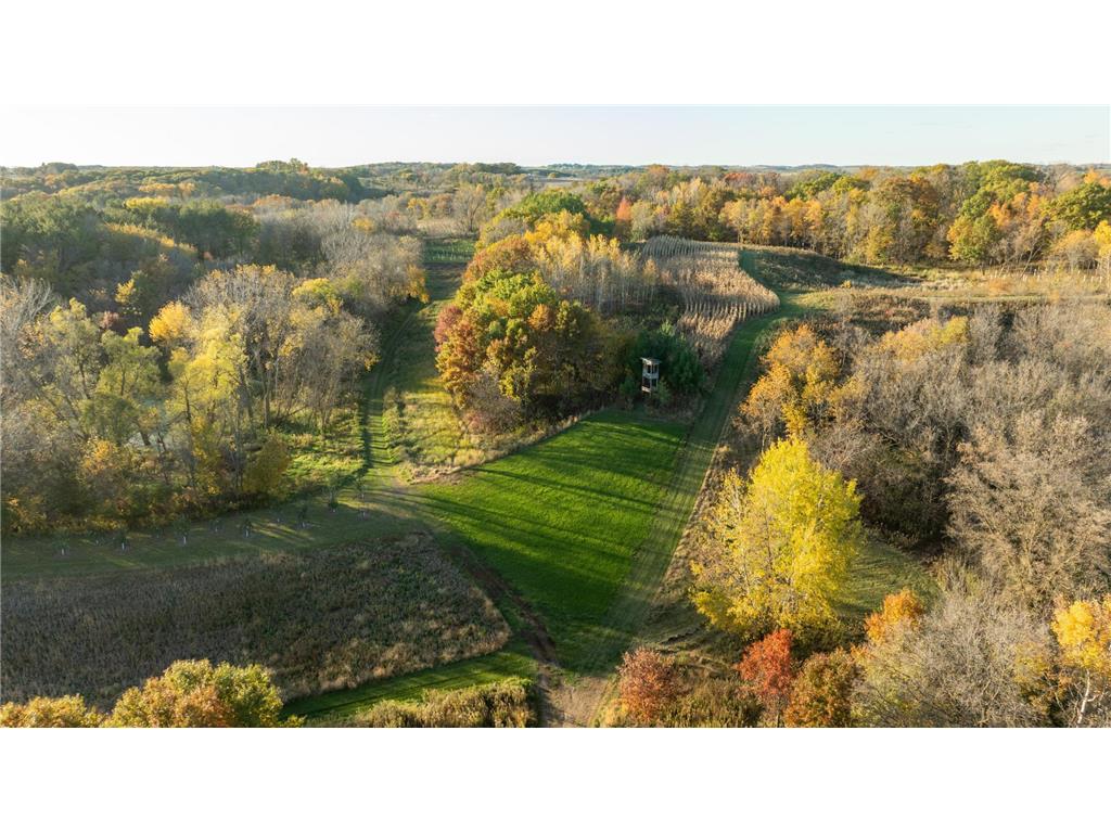 4026 Union Lake Trail Forest Twp MN 55057 6811339 image94