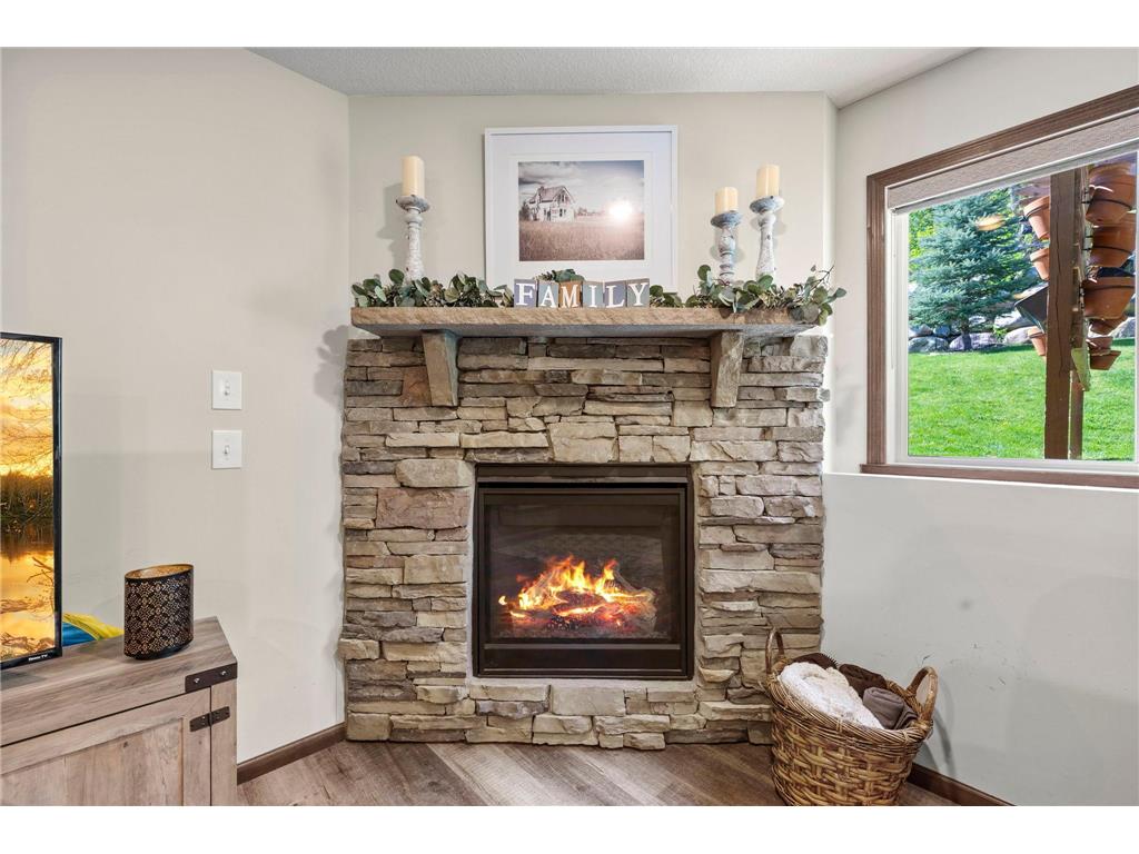 4029 129th Street Savage MN 55378 7071260 image33