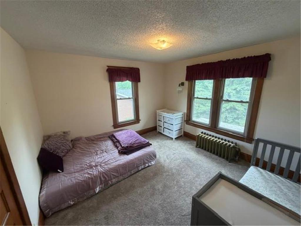 403 1st Avenue Madison MN 56256 7086488 image27
