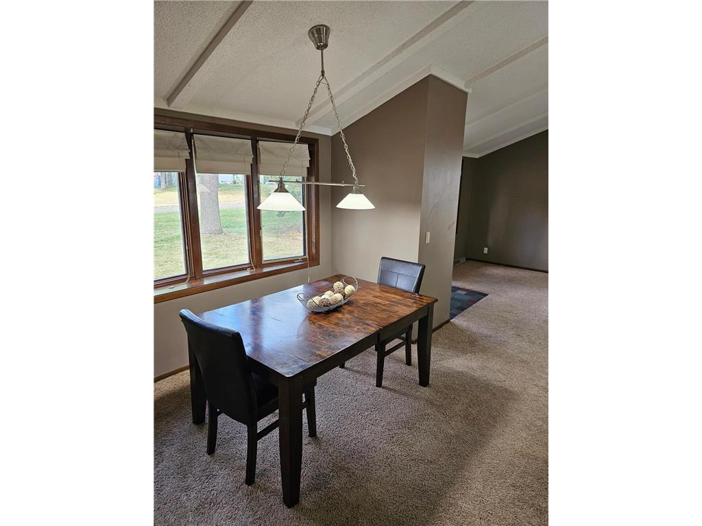 403 Miller Street Spicer MN 56288 6791996 image6