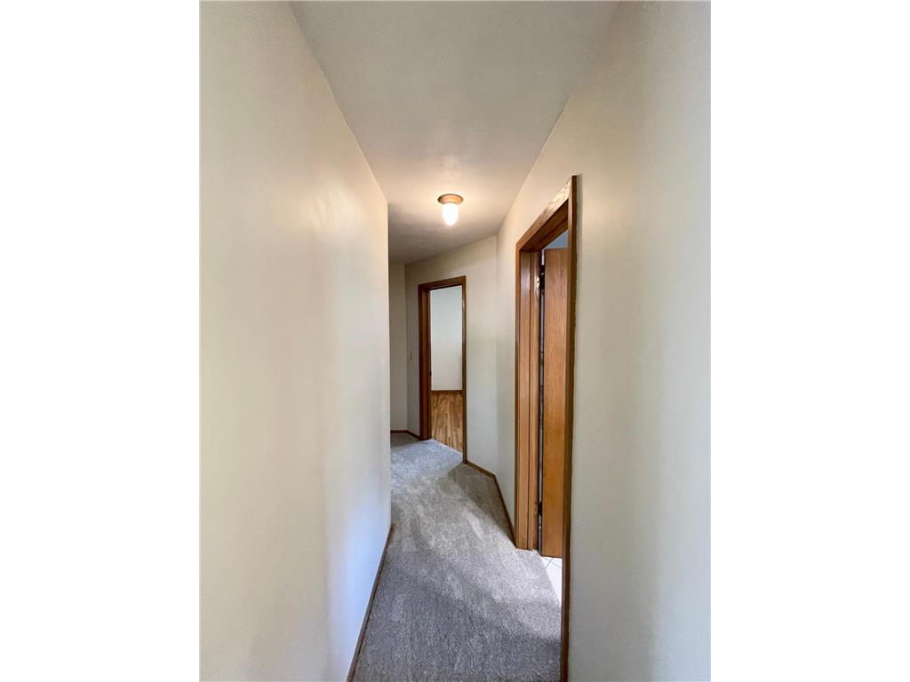403 S Paffrath Avenue Springfield MN 56087 7098333 image24