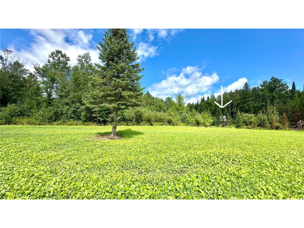 4030 North Road Moose Lake MN 55767 6777484 image22