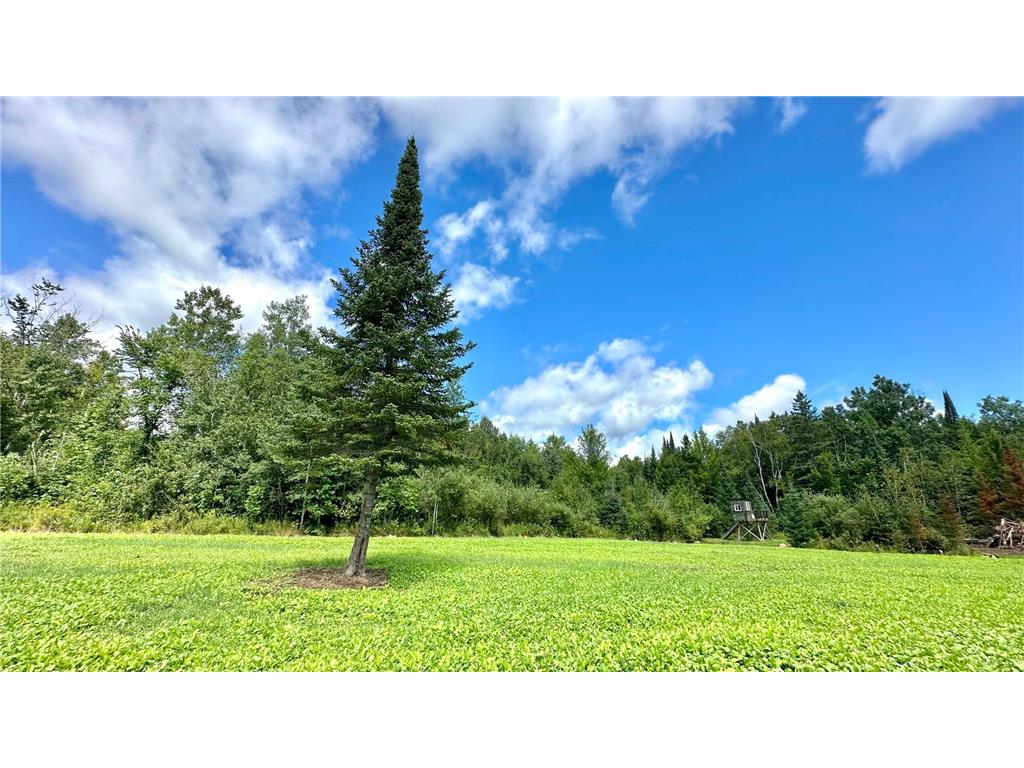 4030 North Road Moose Lake MN 55767 6777484 image4