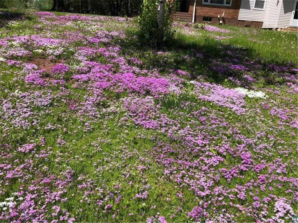 4030 S County Road E Parkland Twp WI 54874 7073165 image34