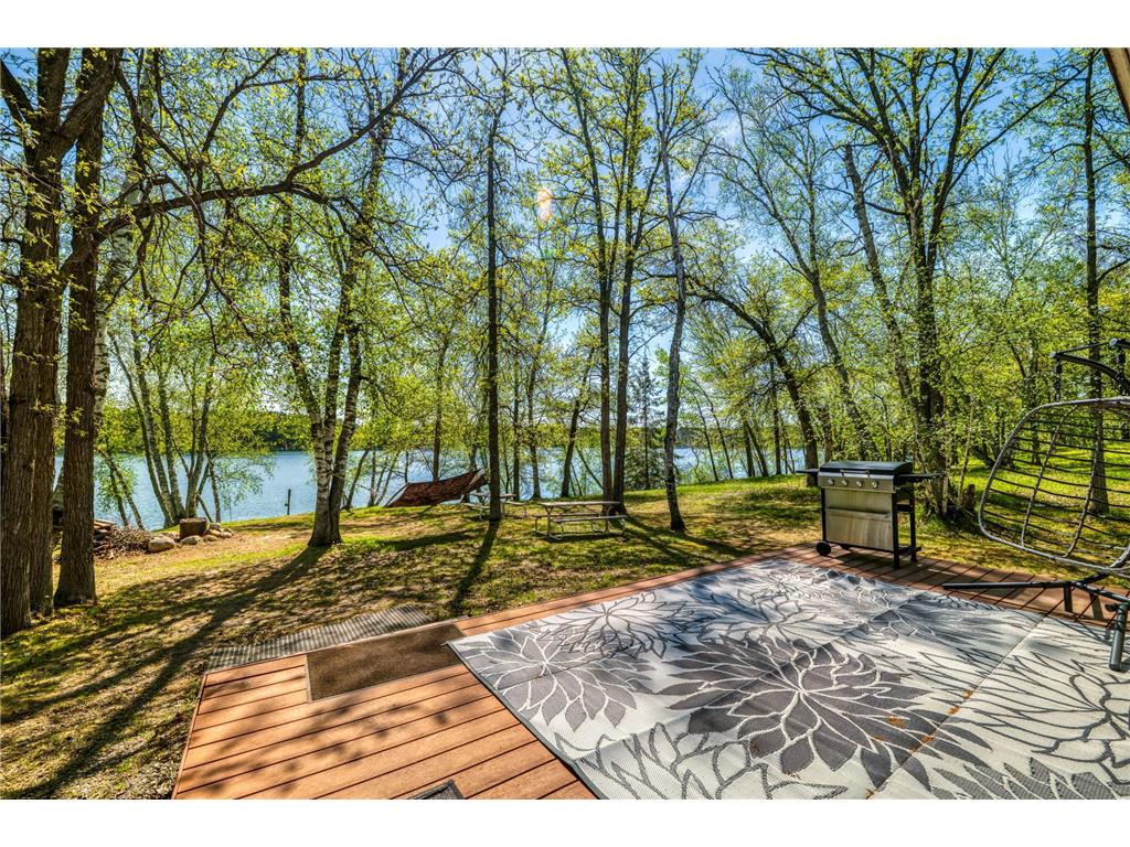 40300 County 4 Schoolcraft Twp MN 56461 - Minnie 7067847 image41