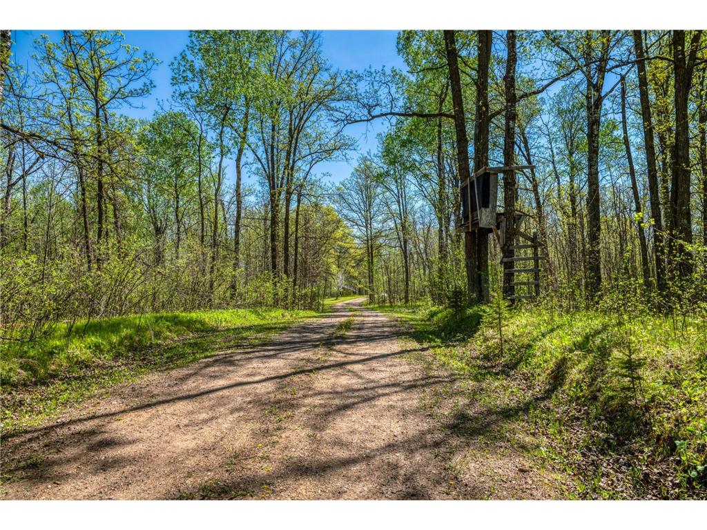 40300 County 4 Schoolcraft Twp MN 56461 - Minnie 7067847 image88