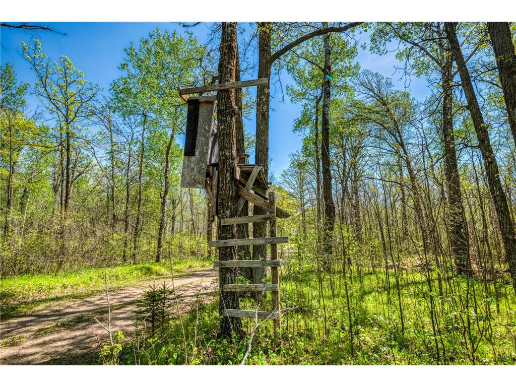 40300 County 4 Schoolcraft Twp MN 56461 - Minnie 7067847 image89