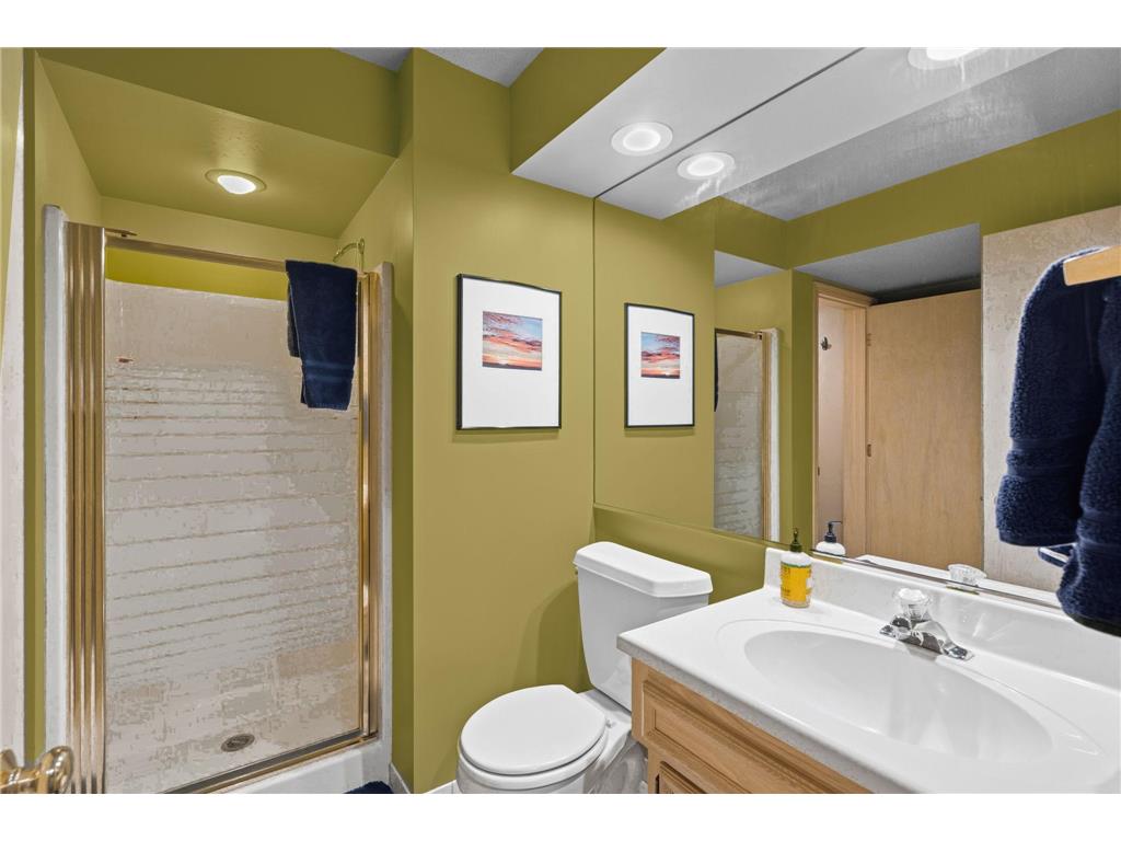 4031 Terrace Lane Minnetonka MN 55305 7094333 image47