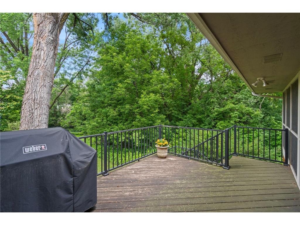 4031 Terrace Lane Minnetonka MN 55305 7094333 image57