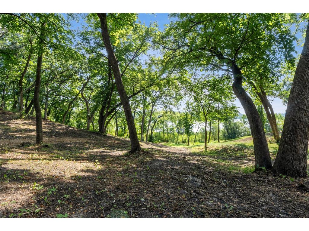 4033 Rosewood Lane SE Alexandria MN 56308 - Burgen 6776006 image2