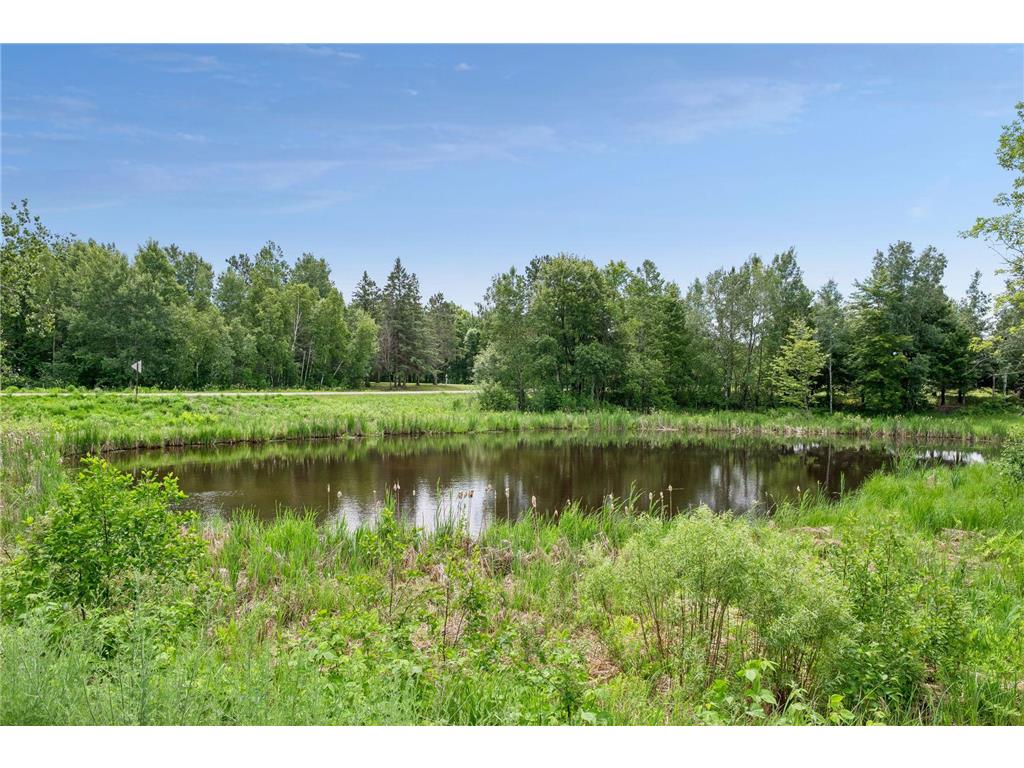 40335 Government Road Barry Twp MN 55037 7092131 image112