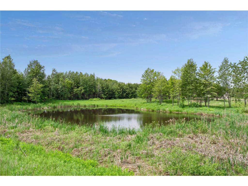 40335 Government Road Barry Twp MN 55037 7092131 image113