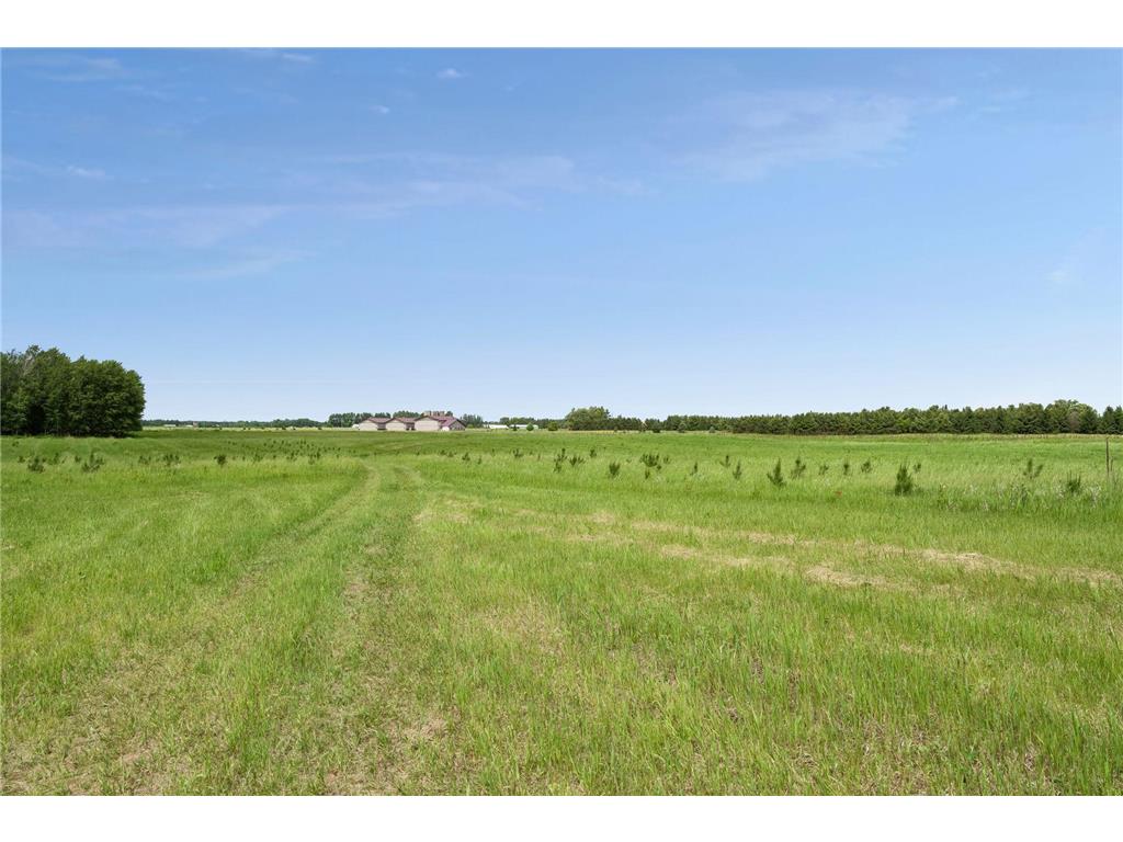 40335 Government Road Barry Twp MN 55037 7092131 image115