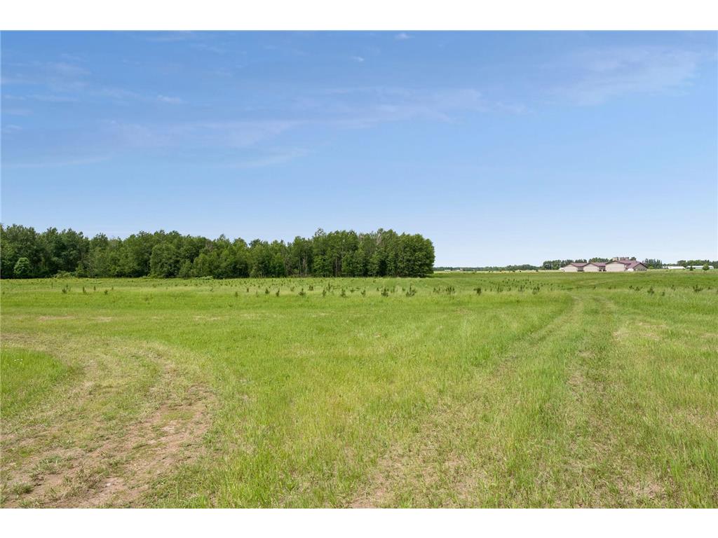 40335 Government Road Barry Twp MN 55037 7092131 image117