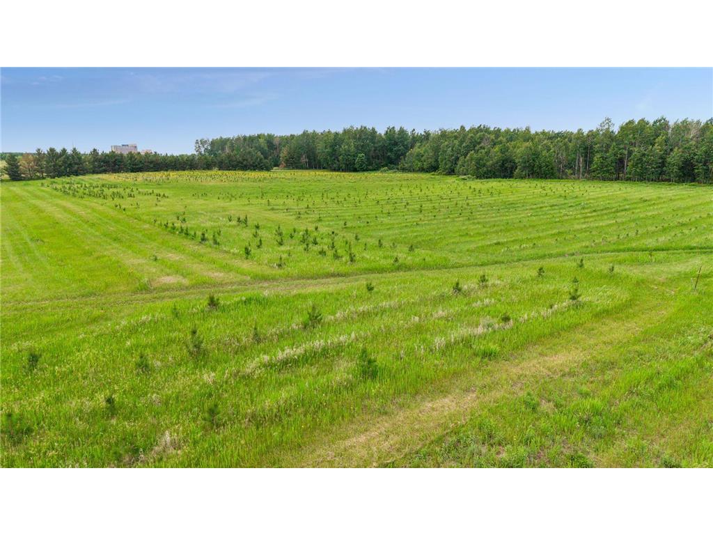 40335 Government Road Barry Twp MN 55037 7092131 image119