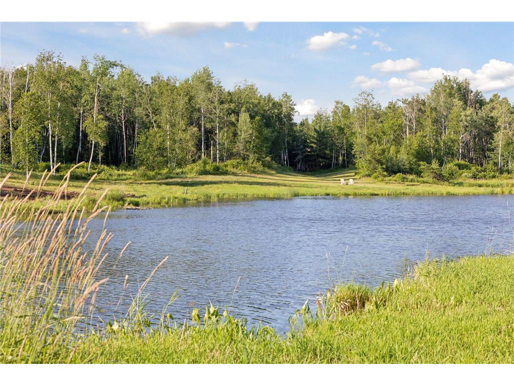 40335 Government Road Barry Twp MN 55037 7092131 image4