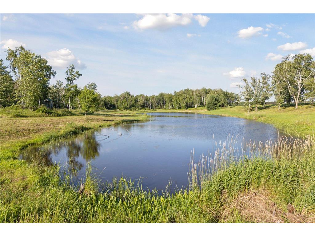 40335 Government Road Barry Twp MN 55037 7092131 image72