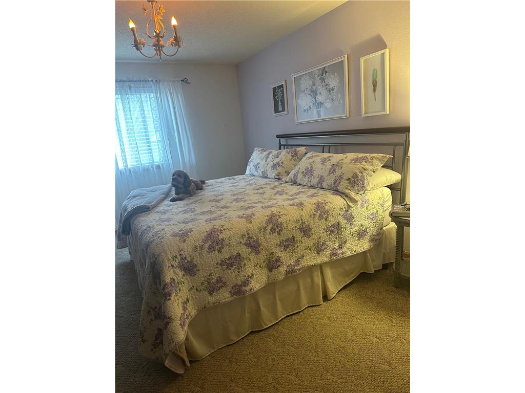 4039 Mallard Place SE Rochester MN 55904 7049809 image27