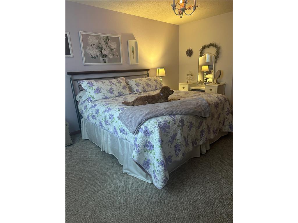 4039 Mallard Place SE Rochester MN 55904 7049809 image28