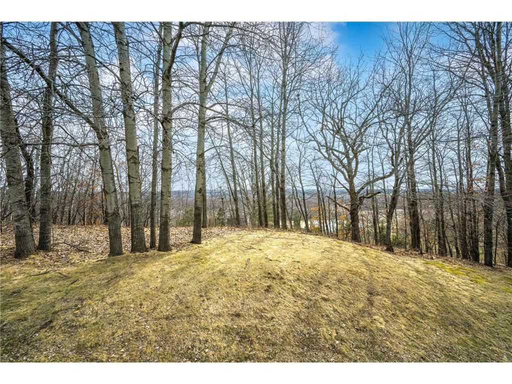 404 174th Street Alden Twp WI 54001 7075256 image42
