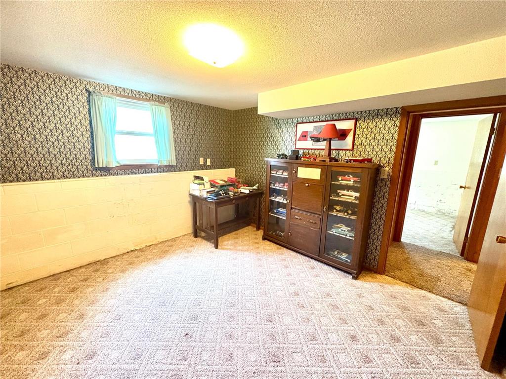 404 E 3rd Street Madison MN 56256 7082582 image11