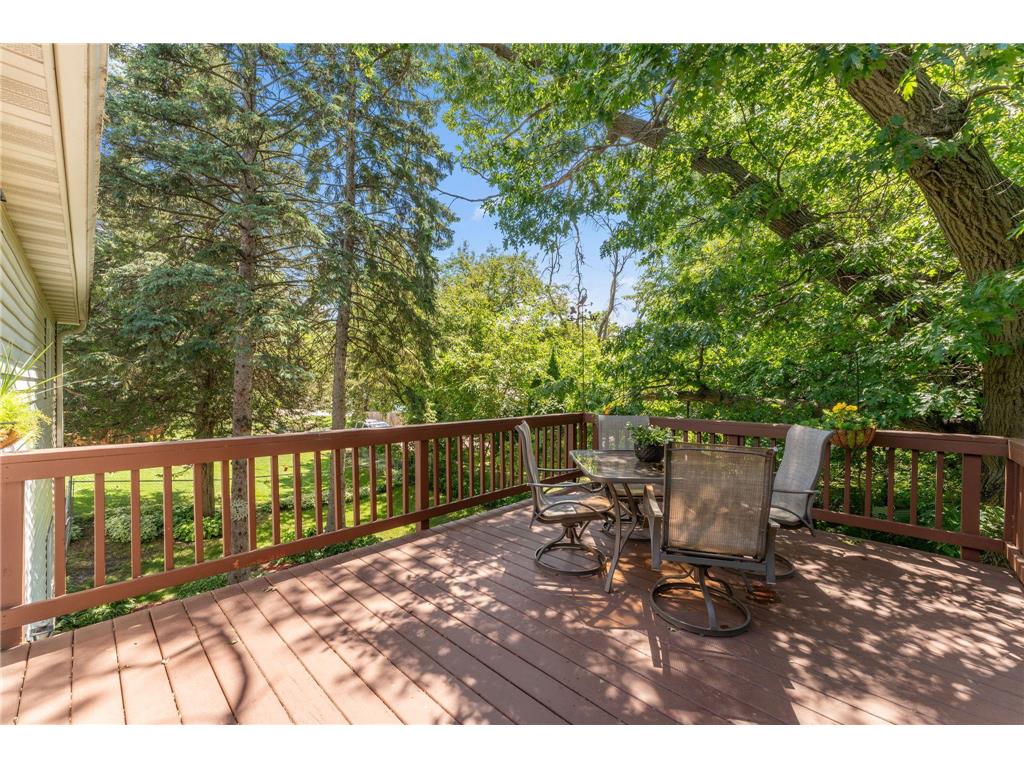 404 Minnesota Avenue Roseville MN 55113 7083891 image38