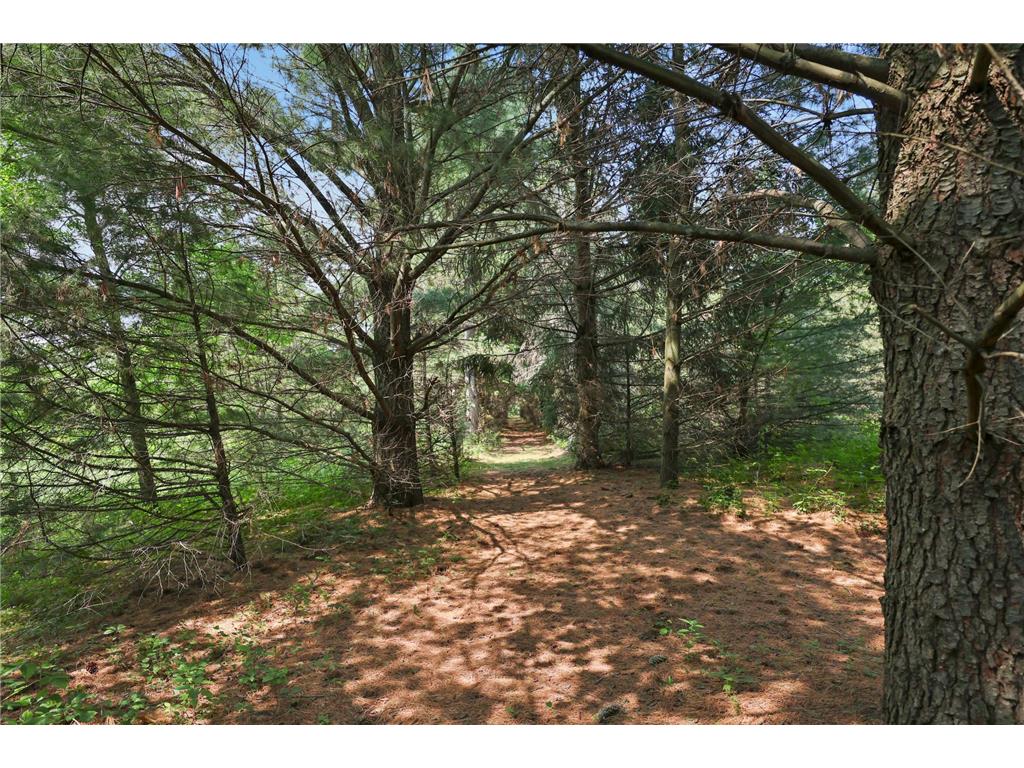4040 Ricecliff Lane Rice MN 56367 - Mississippi 7102190 image107