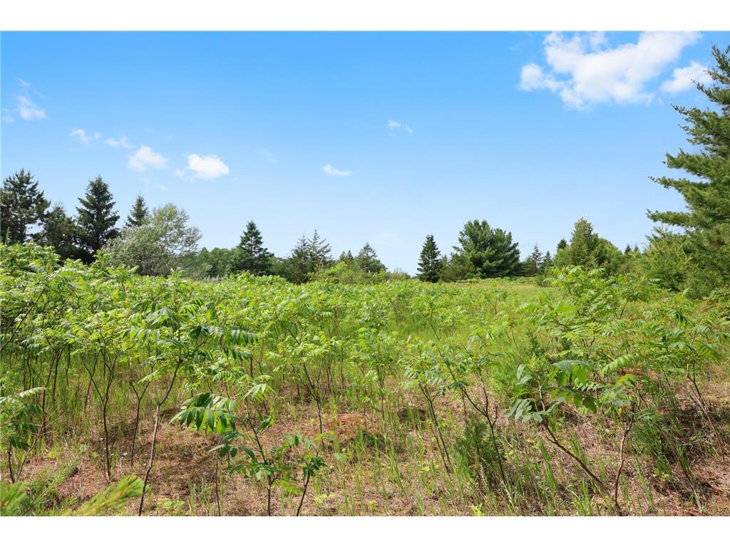 4040 Ricecliff Lane Rice MN 56367 - Mississippi 7102190 image108