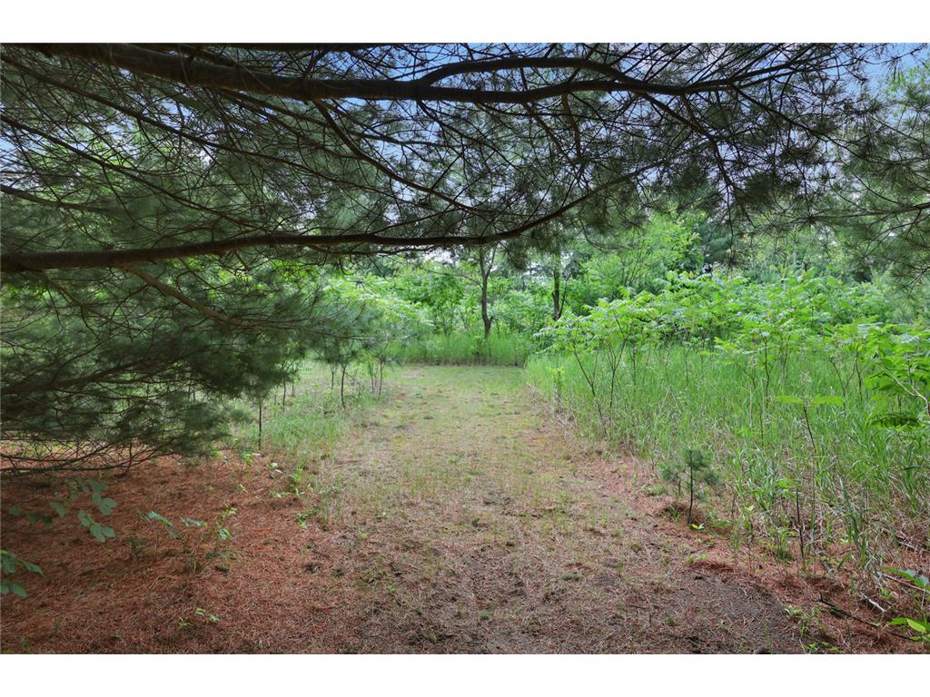 4040 Ricecliff Lane Rice MN 56367 - Mississippi 7102190 image119