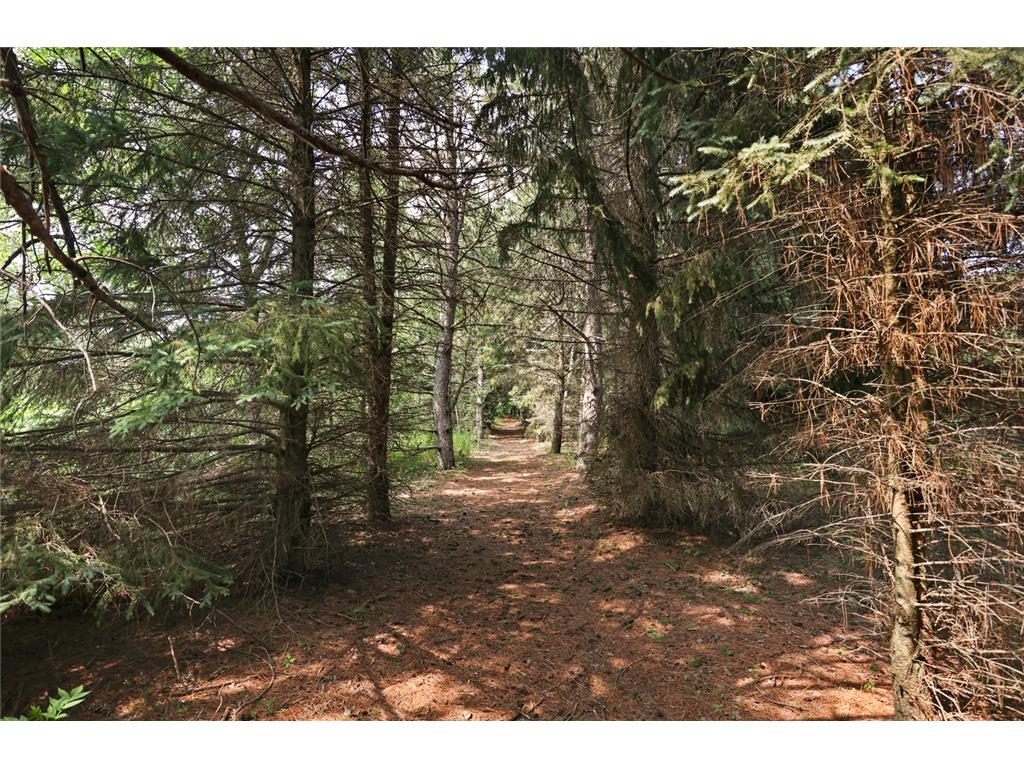 4040 Ricecliff Lane Rice MN 56367 - Mississippi 7102190 image123