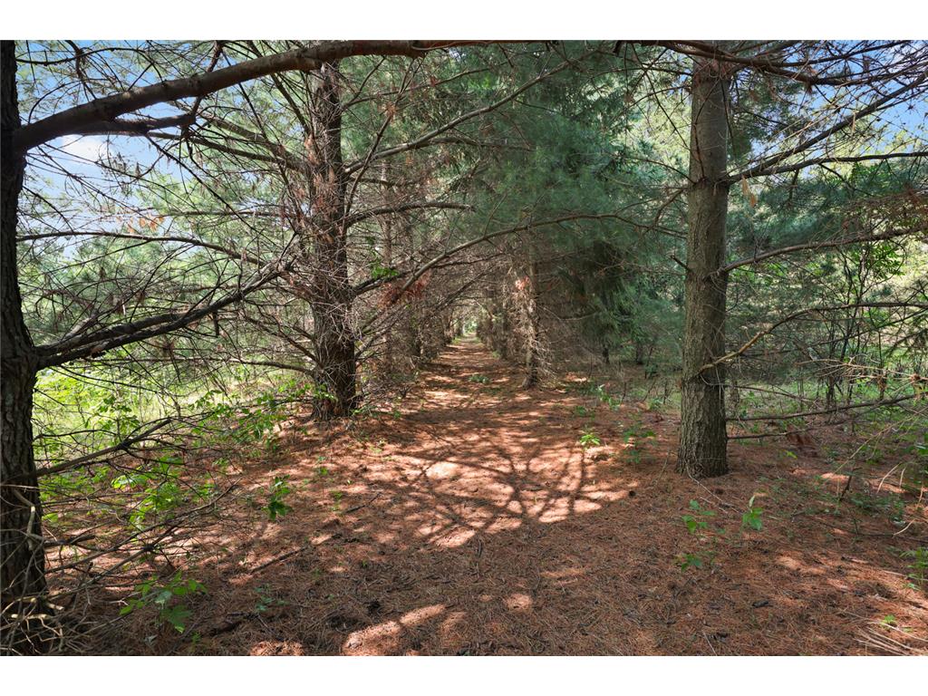 4040 Ricecliff Lane Rice MN 56367 - Mississippi 7102190 image124