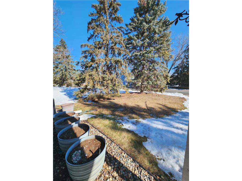 4041 Maureen Drive NE #103 Columbia Heights MN 55421 7020125 image19