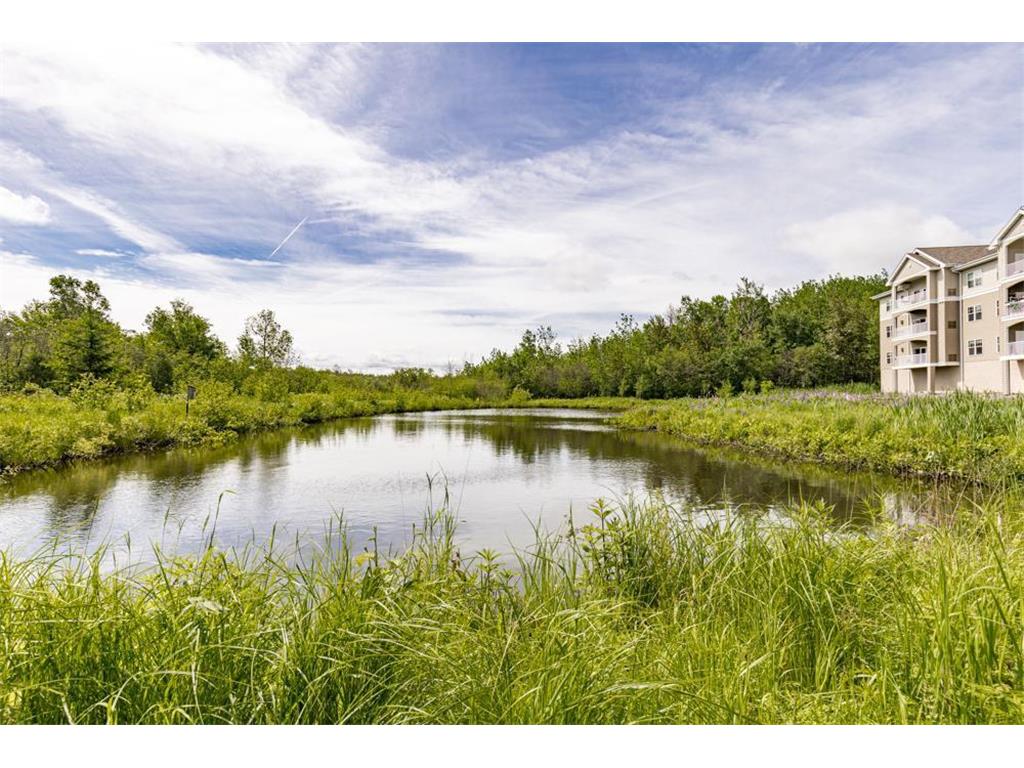 4042 Haines Road 208, Duluth, MN, 55811 MLS 6557555 Edina Realty