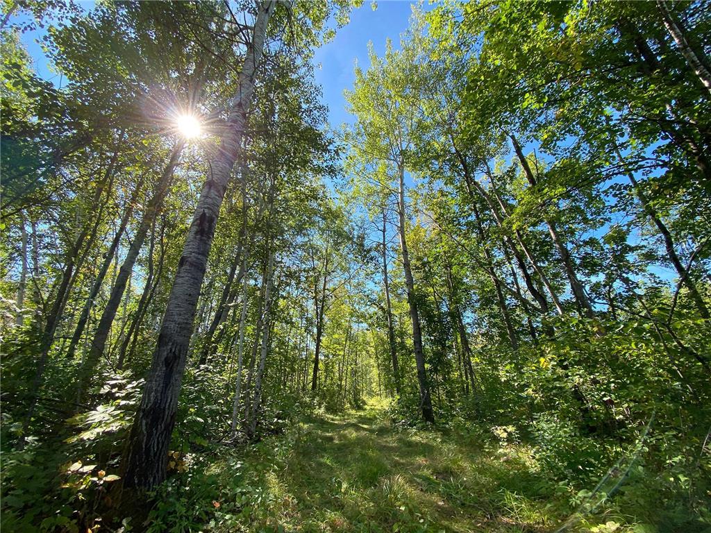 4048 Little Road Barnum MN 55707 6782527 image1