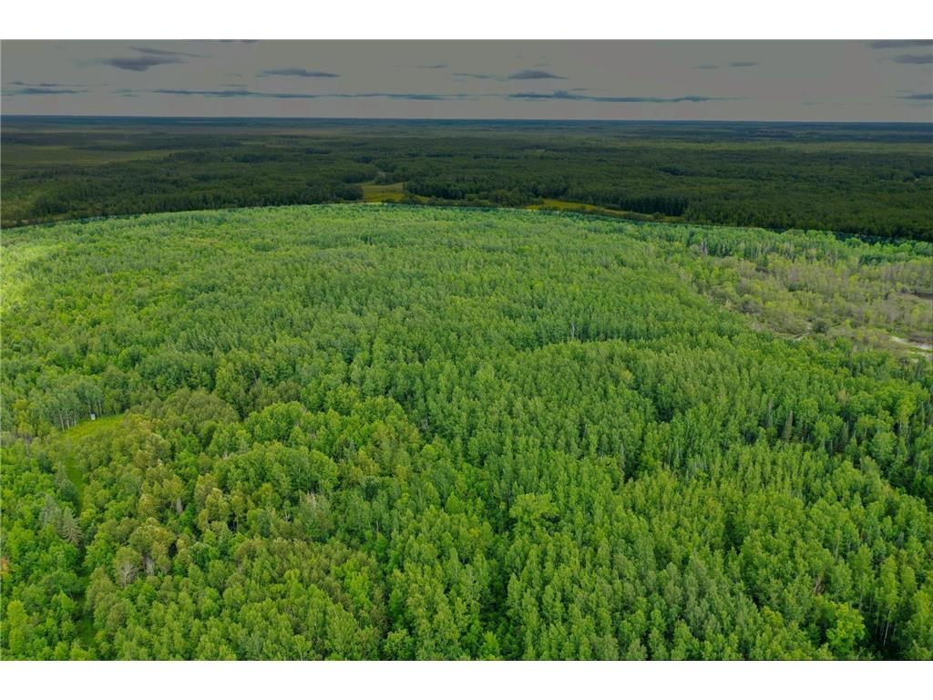 4049 County Road 79 International Falls MN 56653 - Little Fork River 6757116 image5