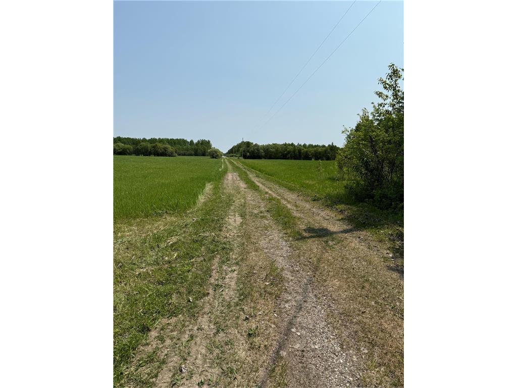 4049 County Road 79 International Falls MN 56653 - Little Fork River 6757116 image8