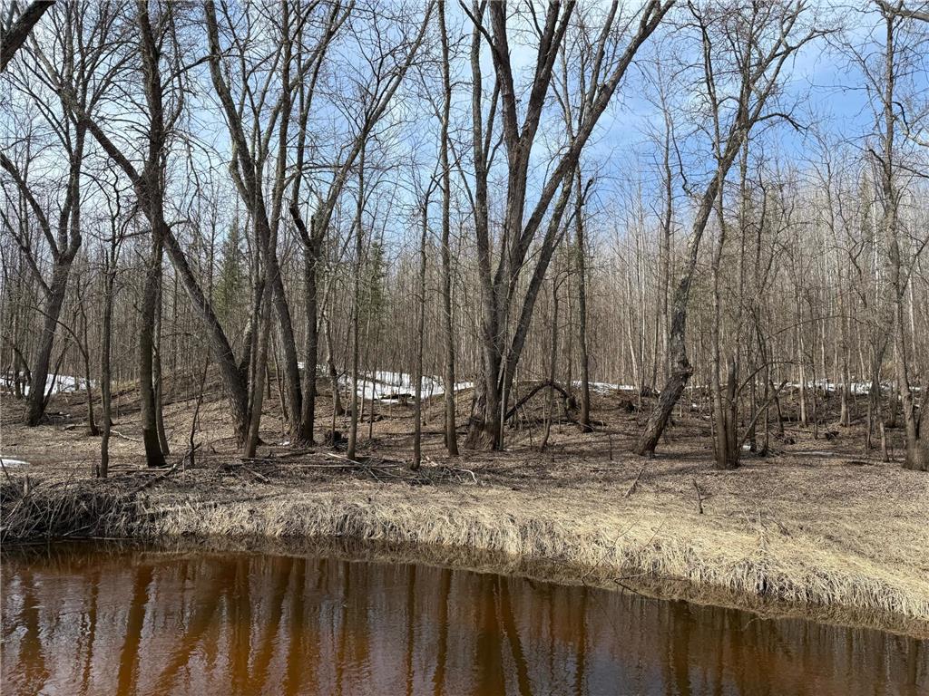 4049 County Road 79 International Falls MN 56653 - Little Fork River 6757116 image9