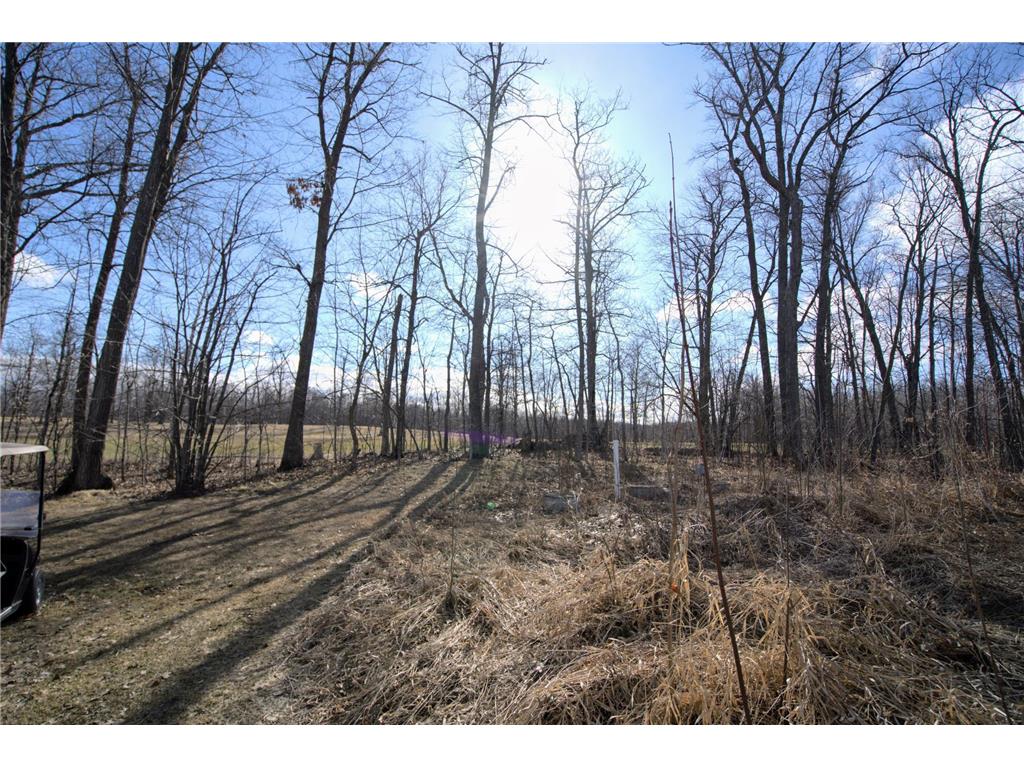 40491 Par Five Drive Onamia MN 56359 7043442 image18
