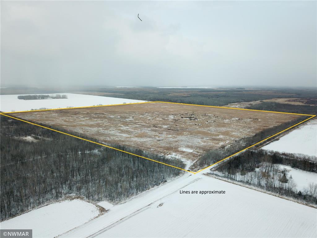 40492 205th Street NE Espelie Twp MN 56725 6324415 image1
