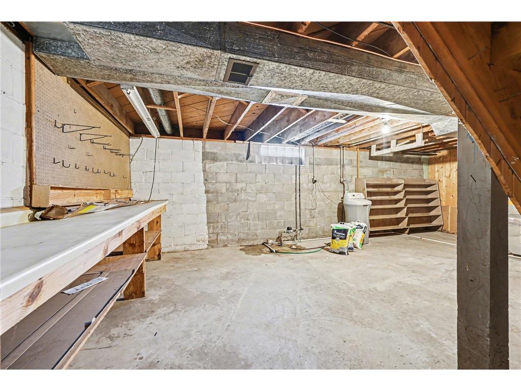 405 Lincoln Avenue N New Prague MN 56071 7019279 image21