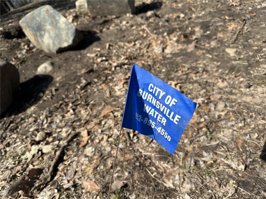 405 Summit Lane E Burnsville MN 55337 6773668 image5