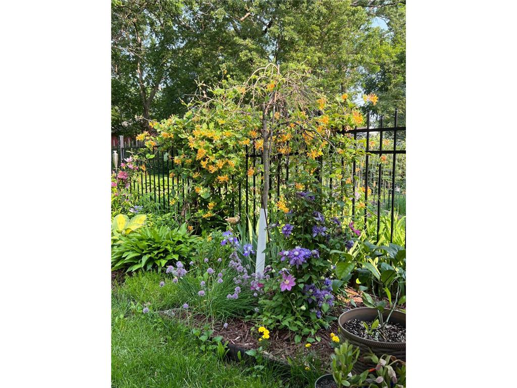 405 Vine Avenue Albert Lea MN 56007 6800528 image16