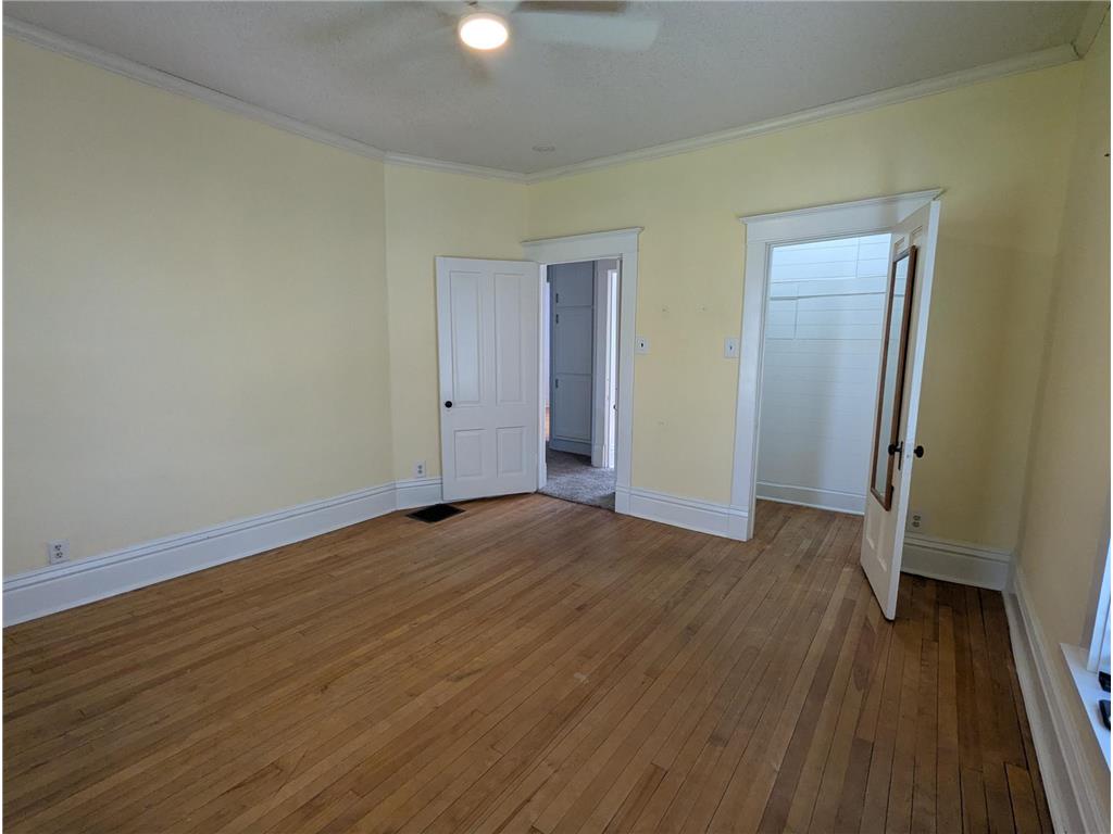 405 Vine Avenue Albert Lea MN 56007 - Fountain 7064332 image31