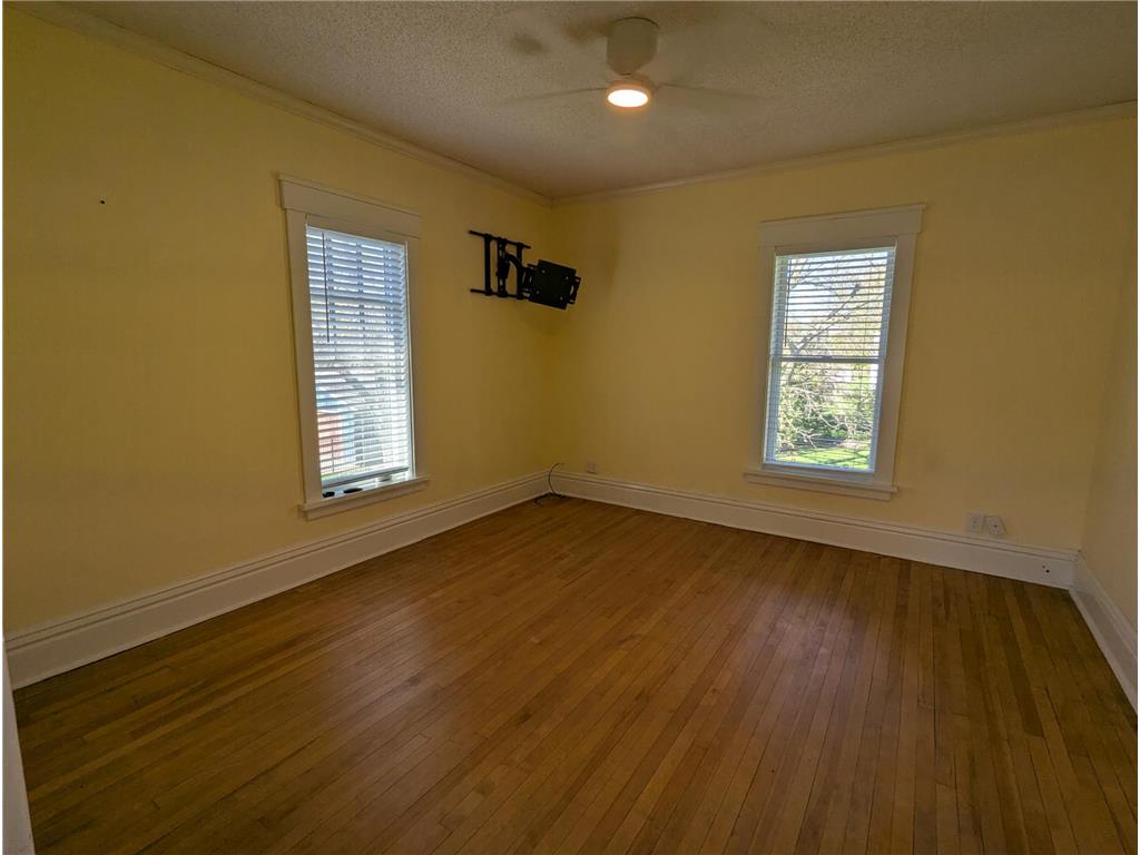 405 Vine Avenue Albert Lea MN 56007 - Fountain 7064332 image32