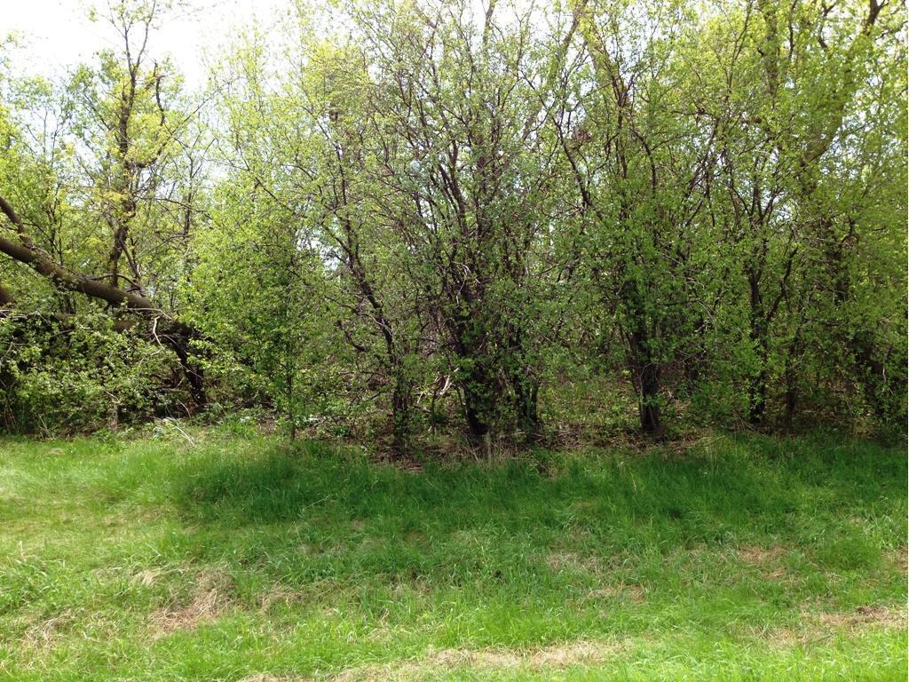 40519 Pine View Drive Sauk Centre MN 56378 6394565 image1